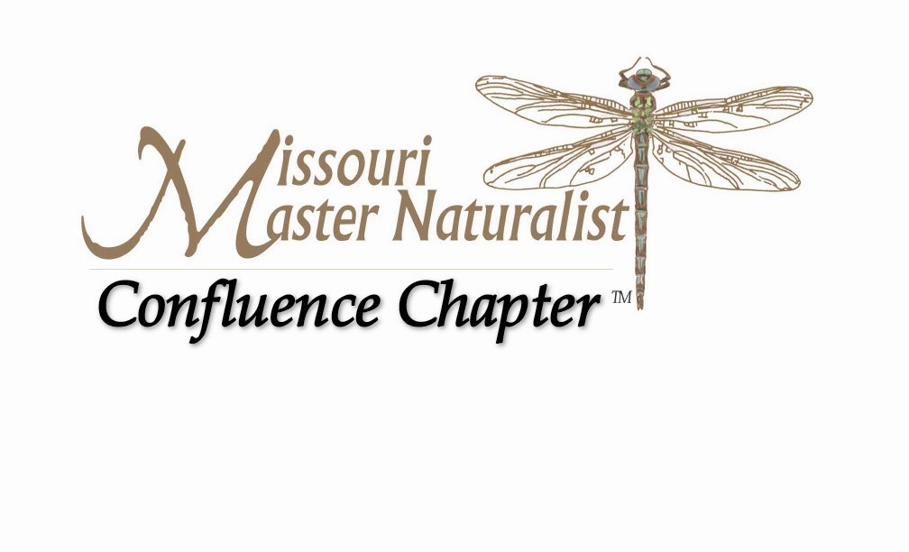 Masternaturalist logo